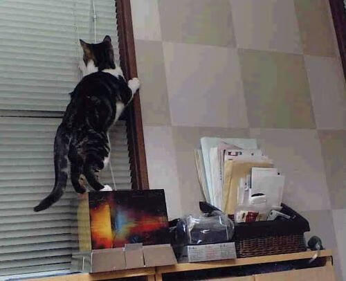 用足尖雕刻时间的人,梅西与那些永恒定义的欧冠淘汰赛之夜