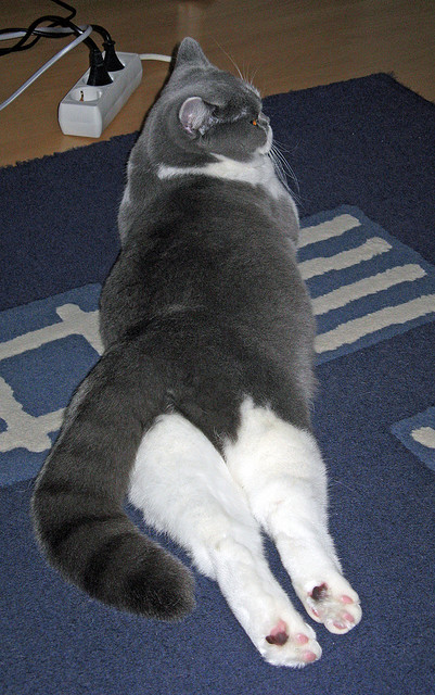 双重节奏，楚阿梅尼如何演绎绿茵场上的南非革命