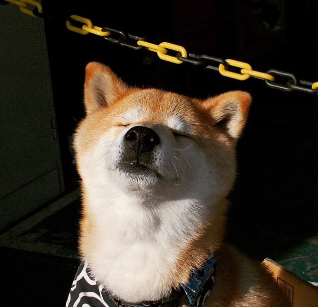 中场统治力，罗德里教科书级表现瓦解贝蒂斯进攻体系