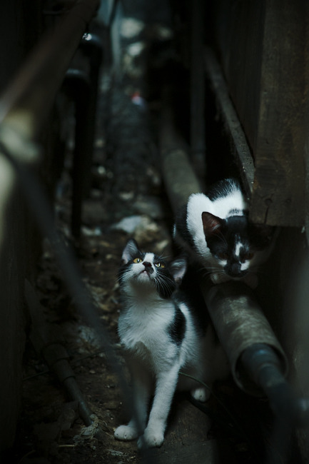 德罗赞52分史诗夜，却成快船团队韧性的最佳注脚