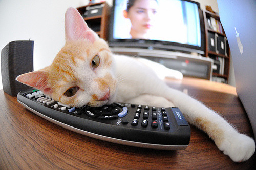 小贾伦定义巅峰对决，篮网轻取吉林队—全场最佳无争议