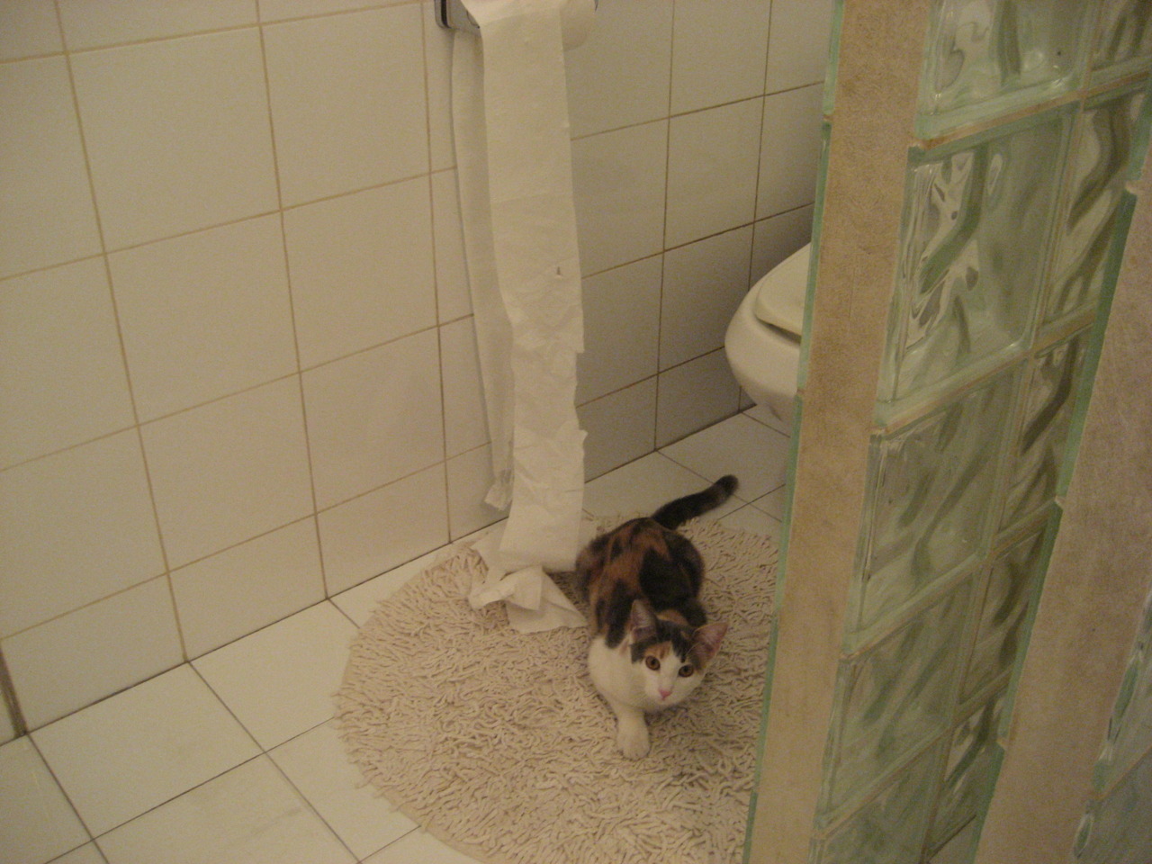 篮球圣殿的异域审判，西亚卡姆在紫禁城下的实力宣言