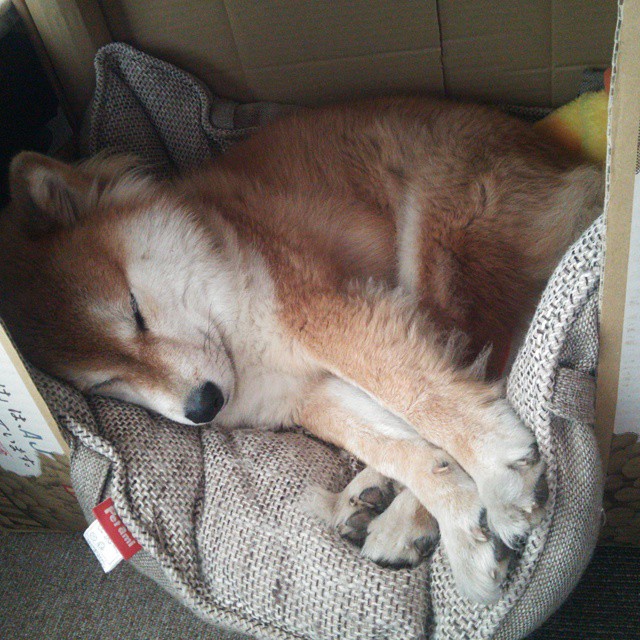 冰封苍穹！休斯顿火箭的窒息防守冻结广厦，范弗利特一柄精准手术刀，切开胜利之门