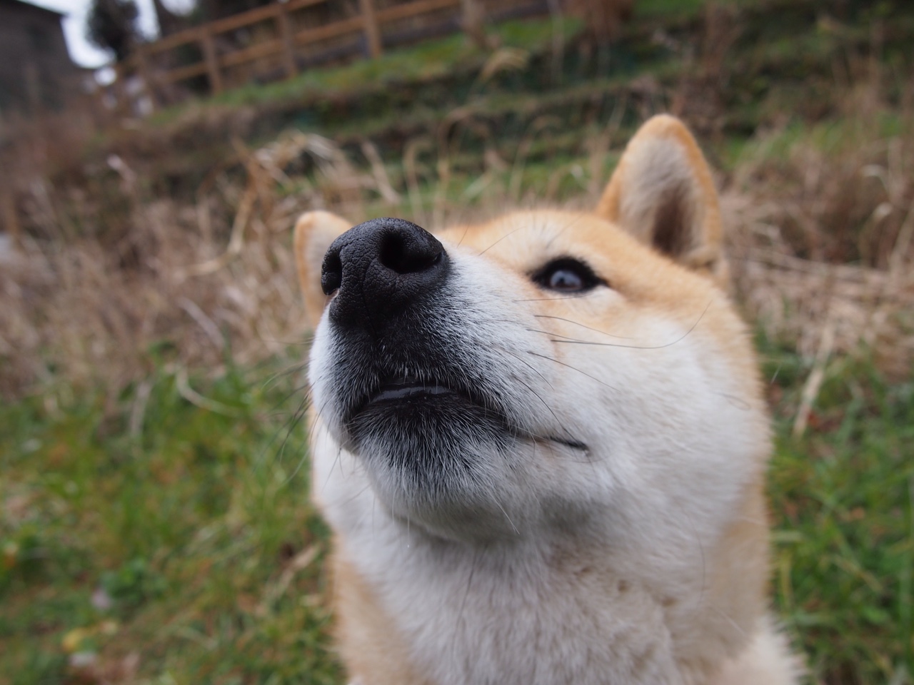 铁王座的轮回，当密尔沃基绞碎风城旧梦，孟菲斯新王已踏碎节点而来