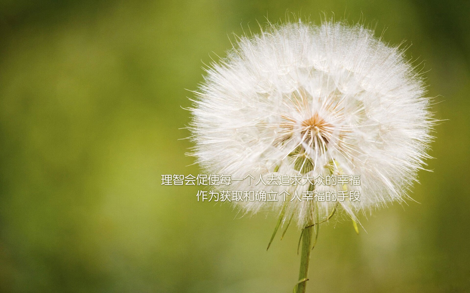 虚拟巅峰赛，库里三加时绝杀，快船险胜广东夺篮球地球杯